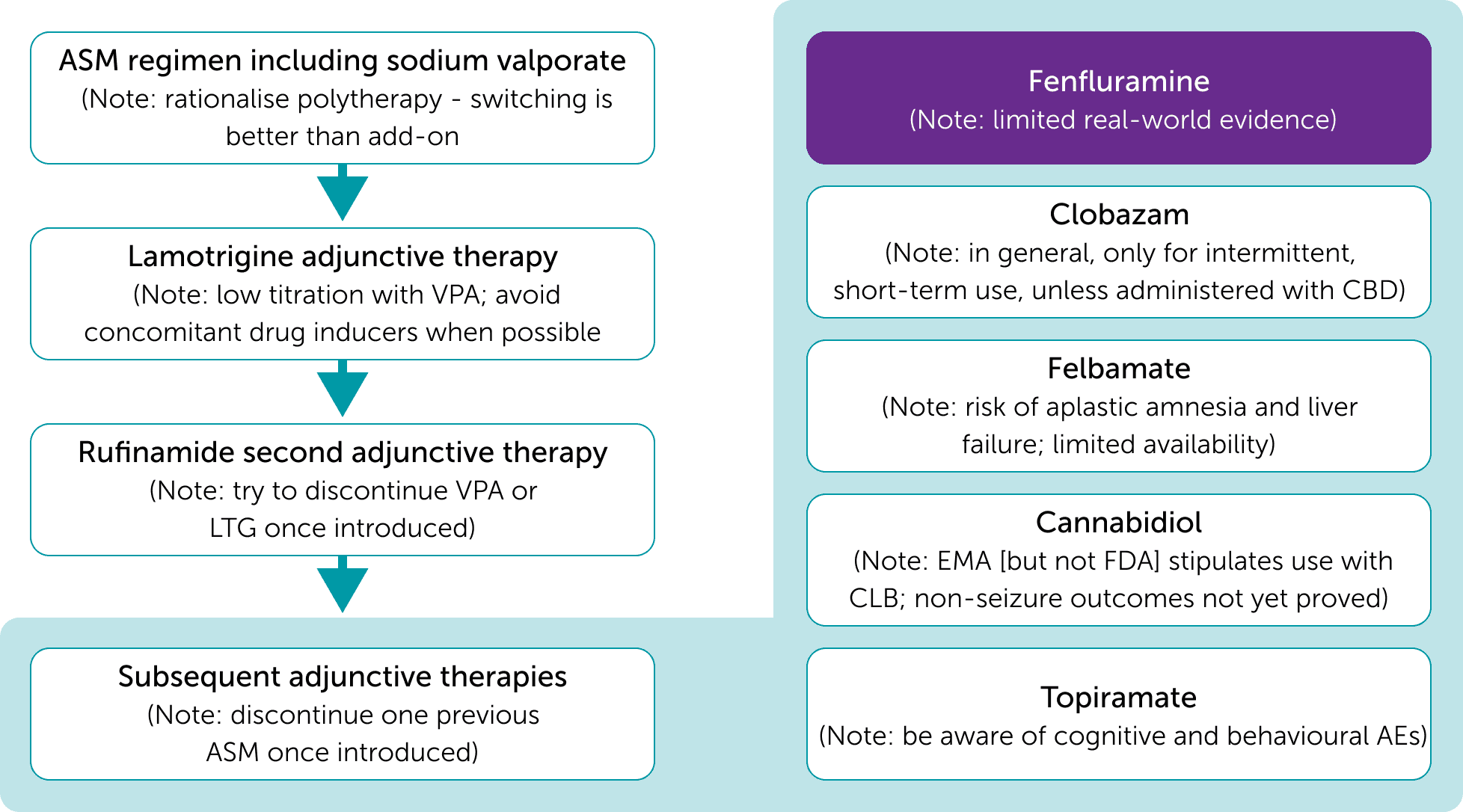 Flowchart outlining treatment pathways and decision points for Lennox-Gastaut syndrome.